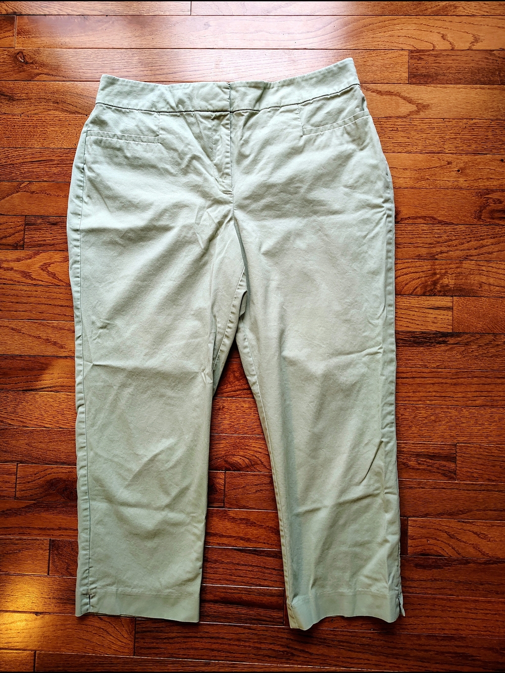 Ann Taylor Sage Green Capri Pants